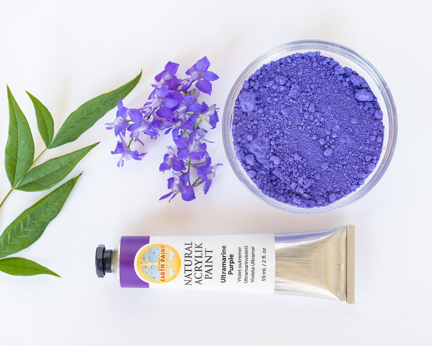 Image of natural acrylic paint beside matching color, ultramarine purple, of pigment and flowers