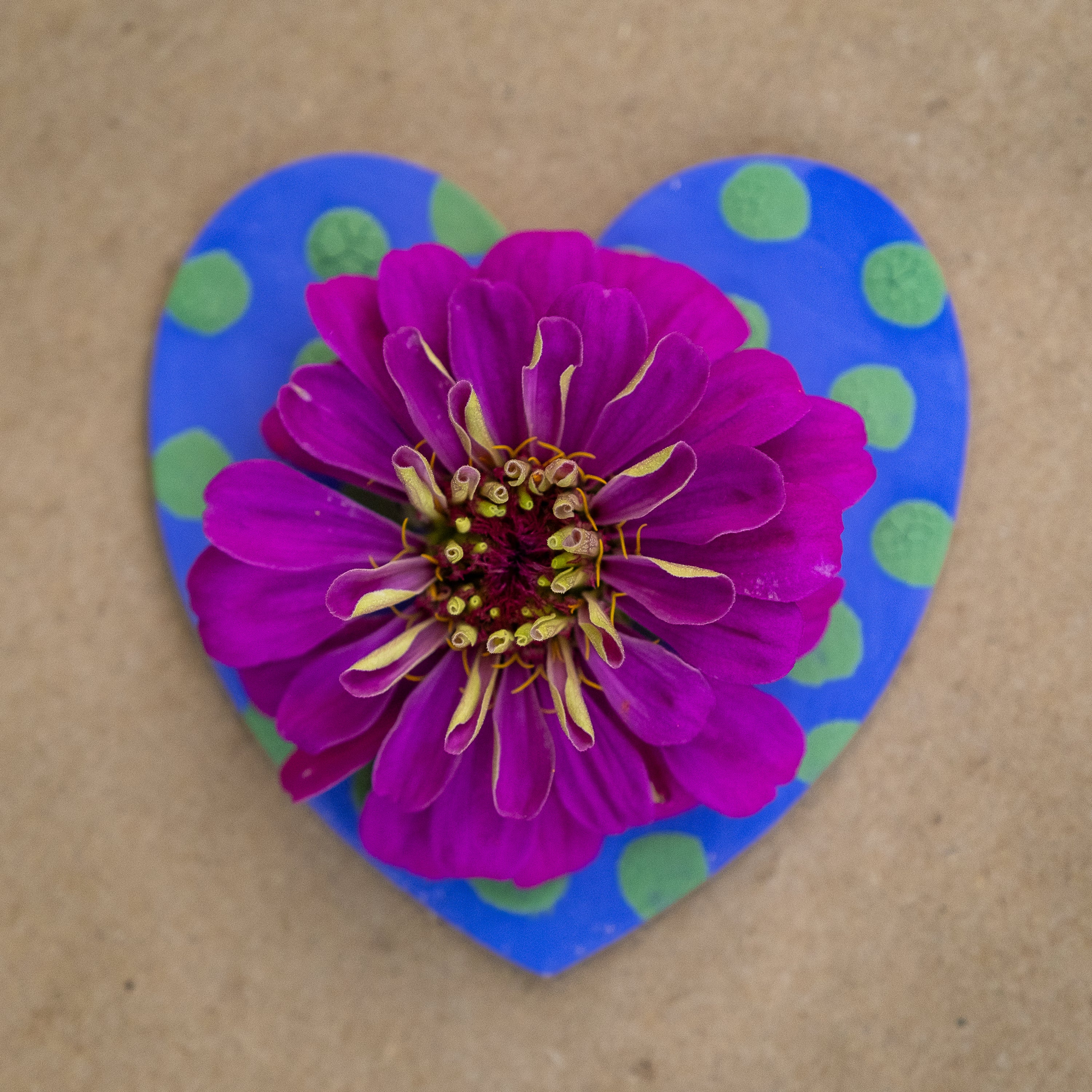 polka dot painted wooden heart with flower on top