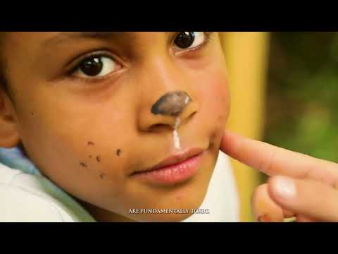 Natural Earth Paint Kit