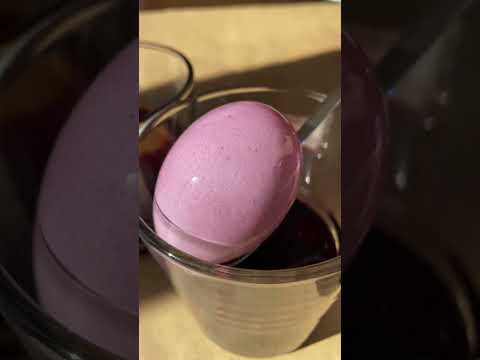 Natural Egg Dye Kit