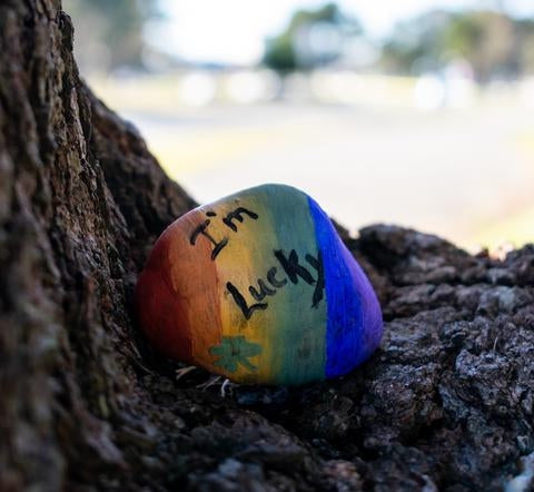 Lucky Painted Rocks with Natural Earth Paint