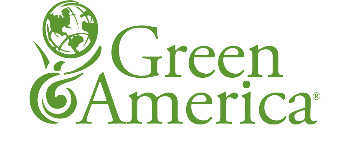 Natural Earth Paint Founder Interviews with Green America's Green Business Network!