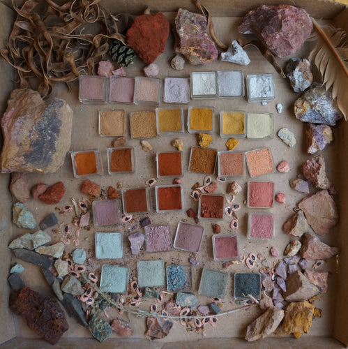 Beautiful arrangement of natural harvested pigments in square containers surrounded by the items that produced the colors by Heidi Gustafson