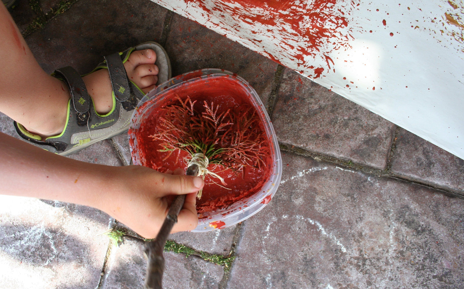 Make Your Own Natural Paint Brushes with Plants
