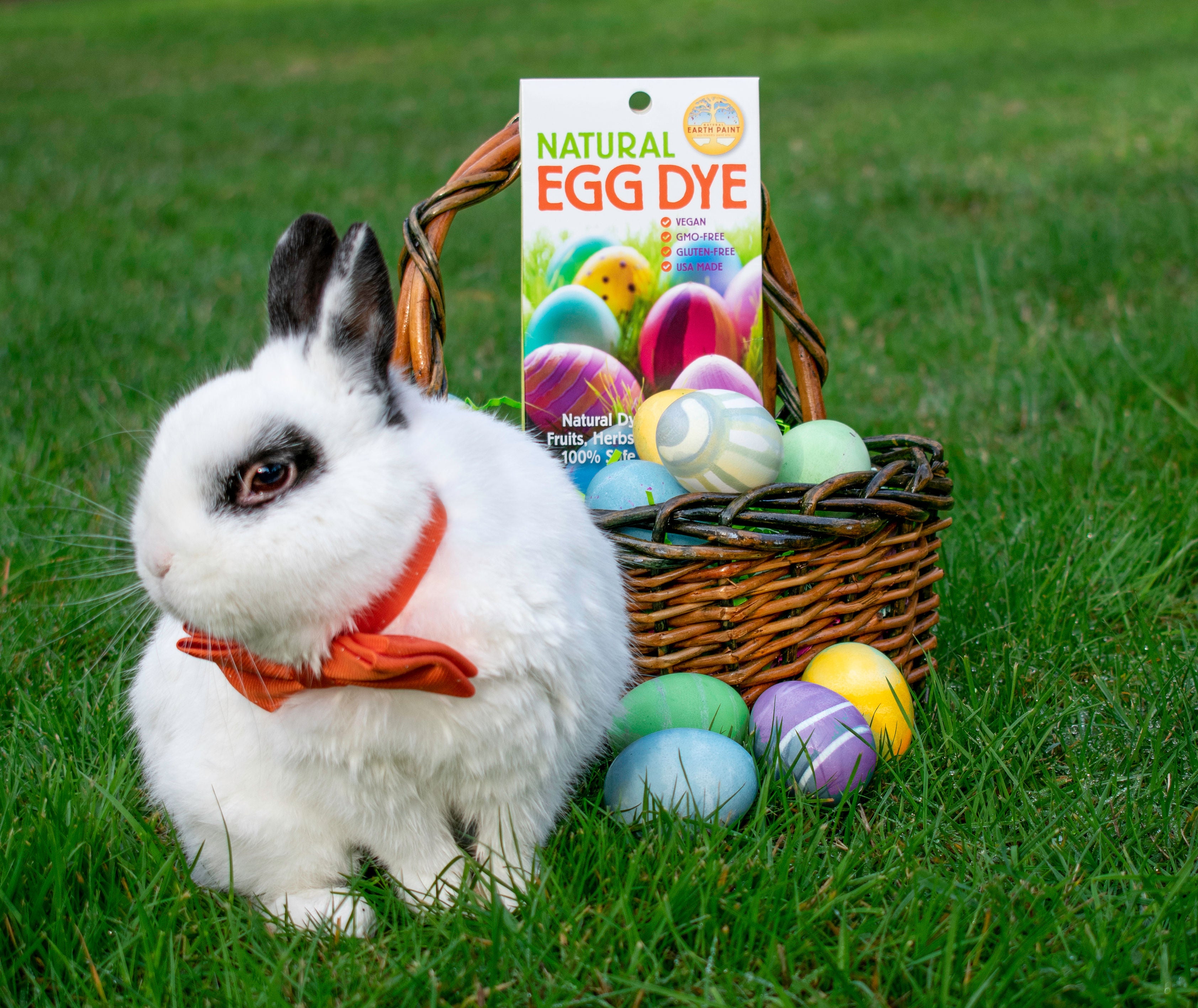 White bunny with black eye patch in a red bowtie next to Natural Egg Dye mixed in with eggs in a basket