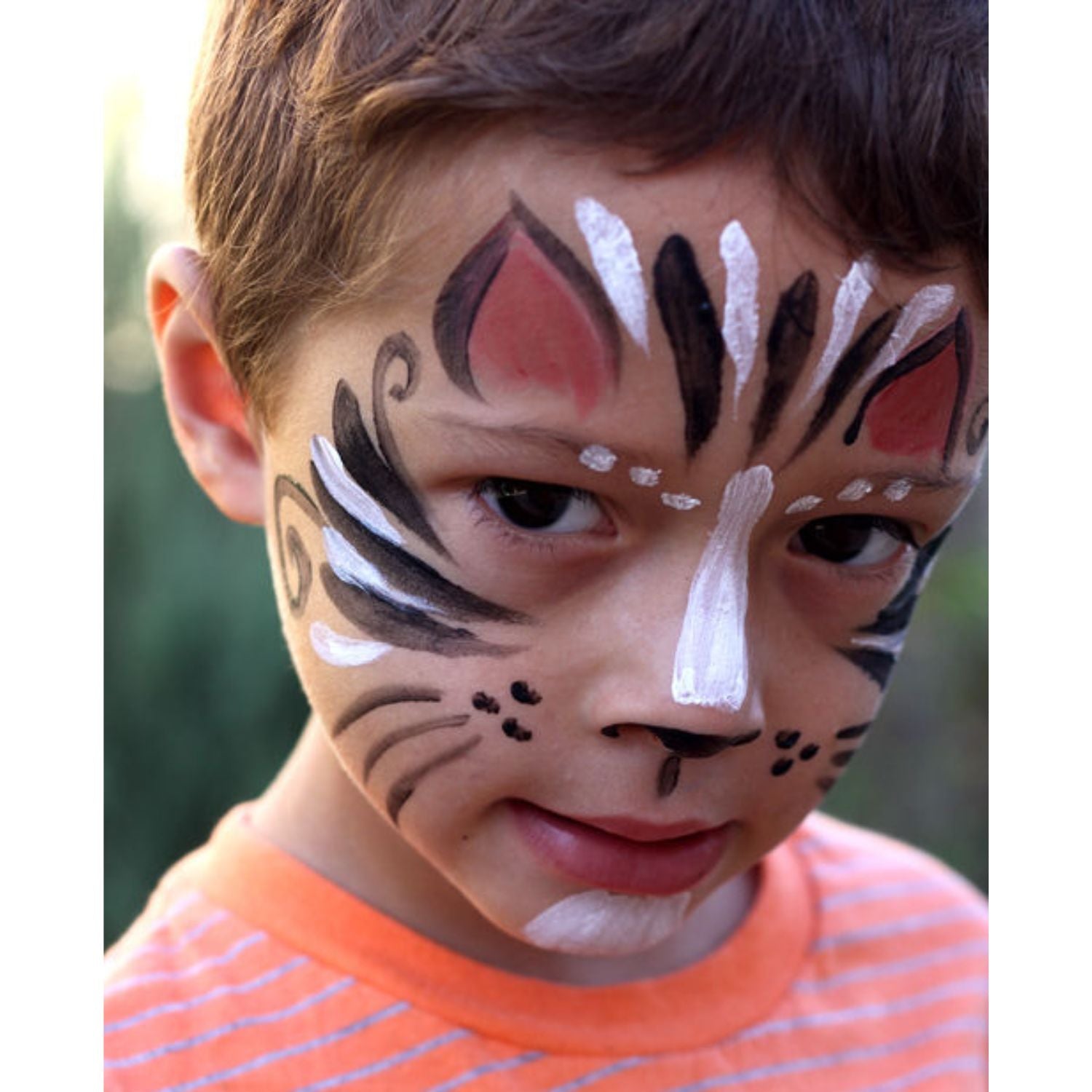 Complete Natural Face Paint Set