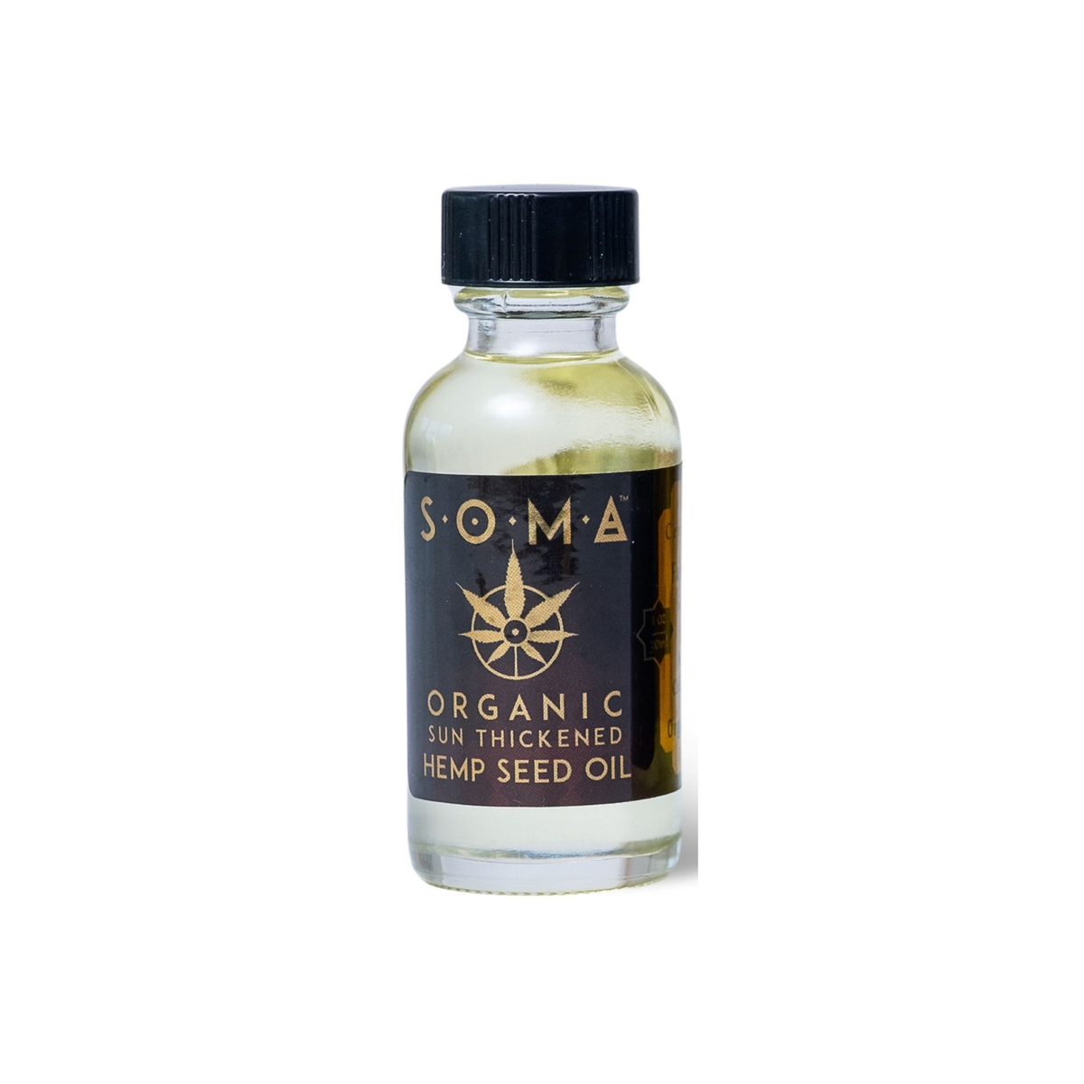 Organic Oil Painting Mediums
