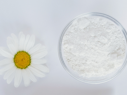 Small bowl of white pigment next to a plucked daisy